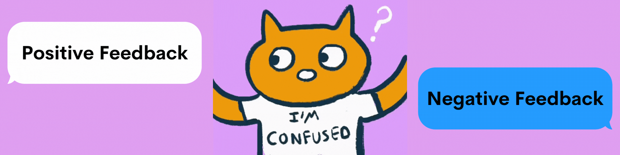 GIF with a cat getting positive and negative feedback. The cat wears a shirt that says, "I'm confused".
