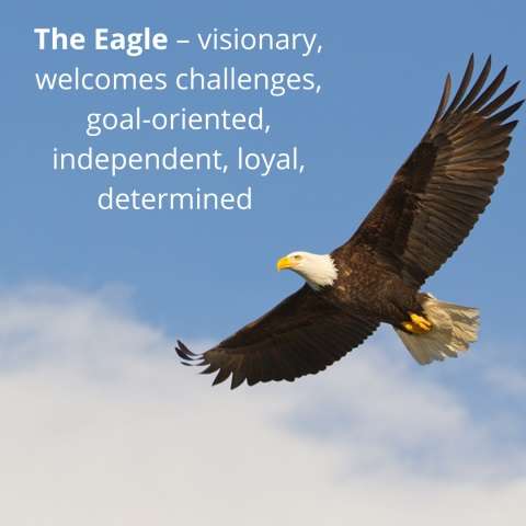 The Eagle - visionary, welcomes challenges, goal-oriented, independent, loyal, determined